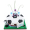Football Party Cake